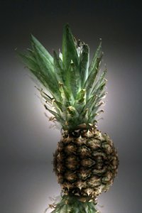 Fruktstilleben av en ananas med frisk blast
