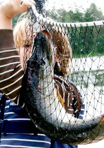 Fiskare som stolt visar upp en nyss fångad gädda